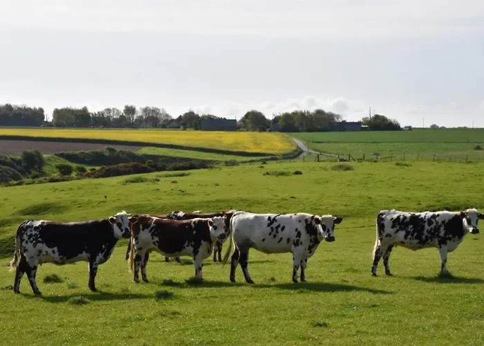 Le Fief Beaurepaire 76280 Beaurepaire (Seine-Maritime)