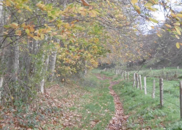 Le Fief Beaurepaire 76280 Couette-café