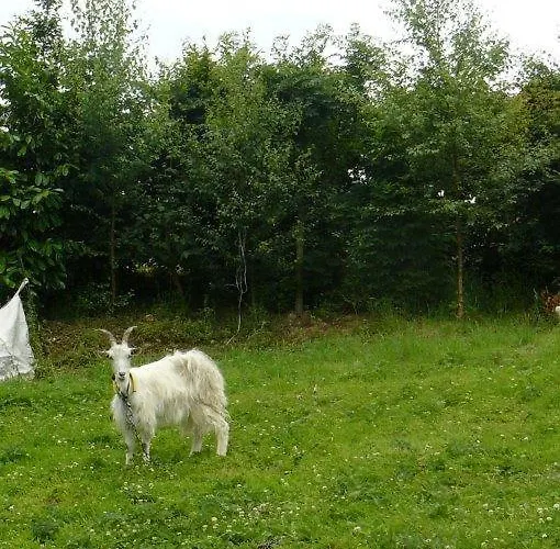 Couette-café Le Fief Beaurepaire 76280