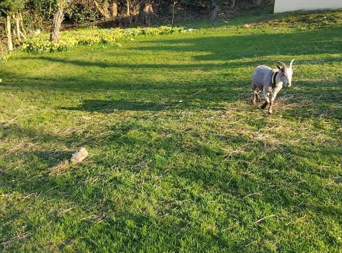 Couette-café Le Fief Beaurepaire 76280